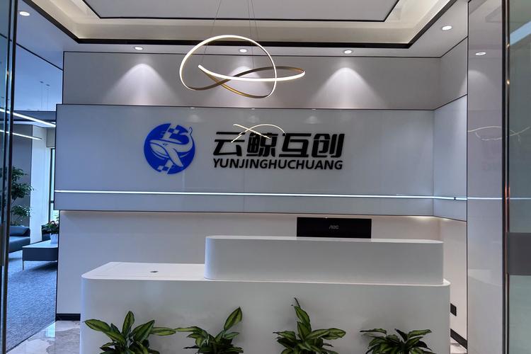 赋能企业数字化转型的智能引擎——湖北云鲸互创科技信息技术咨询服务观察